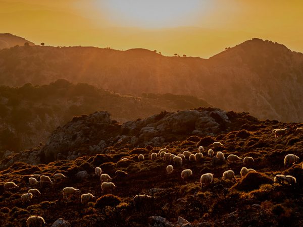 Sunset Route