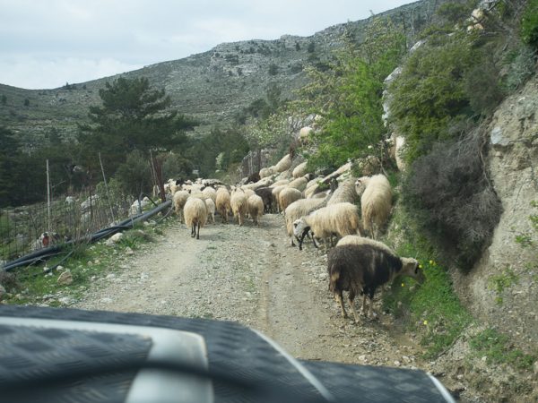 Ha Canyon